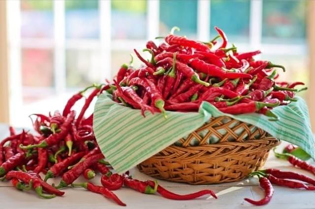 Habanero Dipercaya sebagai Bumbu Rahasia yang Membuat Hidangan Menjadi Lebih Pedas